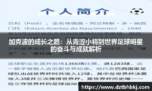 谈球吧加克波的成长之路：从青涩小将到世界足球明星的奋斗与成就解析